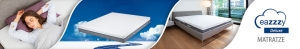 eazzzy Deluxe Matratze 300x49 - eazzzy Deluxe Matratze